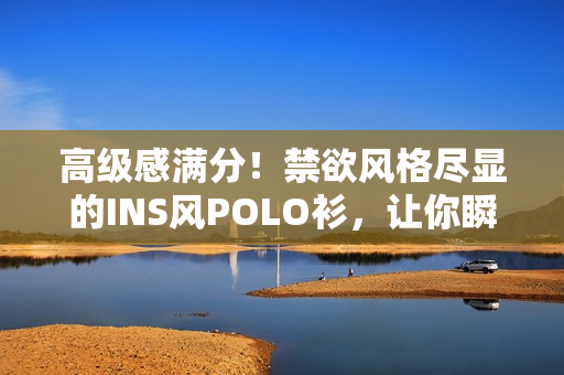 高級感滿分！禁欲風(fēng)格盡顯的INS風(fēng)POLO衫，讓你瞬間成為時尚焦點