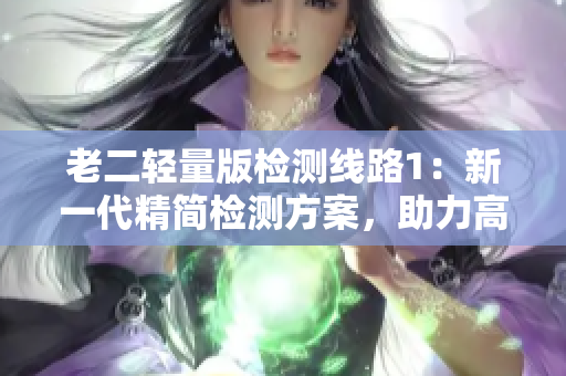 老二輕量版檢測線路1：新一代精簡檢測方案，助力高效診斷
